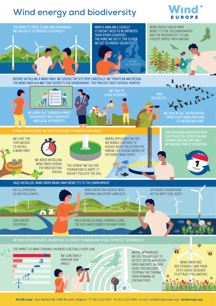 Infographic summarizing the impact of wind power on biodiversity